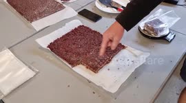 NEW VIDEO - Daredevil dad has set sail from Canada in a one metre boat - in bid to cross the Atlantic in the smallest ever vessel