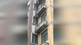 MUST-SEE: Wasp nests hang on room balconies on consecutive floors in China