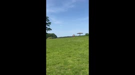 When to the zoo with families was a lovely day nice and sunny