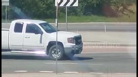 Man Helps Duck Family Across Road