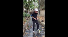 Monkeys Found Their Rideshare