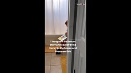 Artistic boy recreates a painting in home and makes an almost exact replica