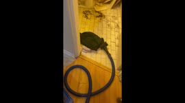 Hidden Shower Found Behind Leaking Bathroom Wall