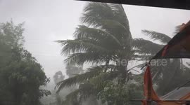 Storm destroys a small fruit garden, knocking over trees and sending pots, pans and buckets flying all over the place.