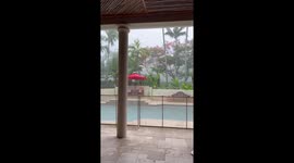 Lightning strikes the tree in front of the camera, and my dad exclaims, “That’s what I’m taking about.”