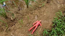 Menemukan Mainan Superhero Hulk, Spiderman , Ultraman, Kapten Amerika, Iron Man, Kereta Api