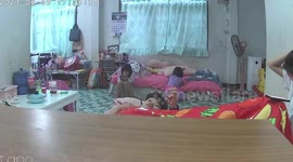 Cow rampages through family's home while they watch TV