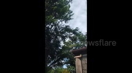 Typhoon Mawar Brings Strong Wind in Baler, Philippines