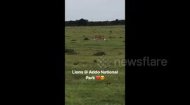 THIS OFFICE WORKER used her maternity leave to begin her dream of TRAVELLING and has since visited several continents and even got pregnant again on the road – and now she hopes to inspire other expectant mothers to travel without fear.