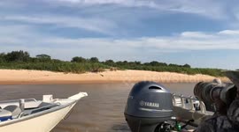 JAW-DROPPING images show the shocking moment two FEROCIOUS jaguars face off in an attempt to KILL.