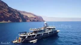 A BRITISH photographer has spoken out about getting up close and personal with great white sharks – even building a ‘connection’ with ocean’s apex predators.