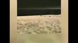 HEARTBREAKING images have captured the moment a brave two-thousand-pound buffalo dragged along a coalition of hungry lions that were hanging off its back.