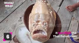 The Ocean is a Creepy Place