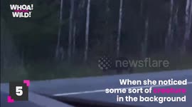 Mind Blowing Things You Won't Be Able To Explain