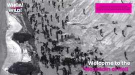 Bikers Slide Down the Mountain of Hell!