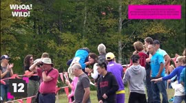 Unusual and Weird Sports