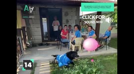 Animals Never Fail to Entertain