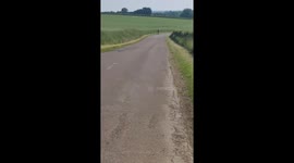 Wild Boars Knock Over Cyclists