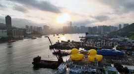 Giant yellow rubber ducks spotted in Hong Kong waters