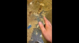 Electrician Discovers Safe Circuitry