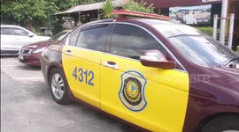 Police catch smuggling gang trying to sell wild monkeys to China 'for consumption and cancer research'