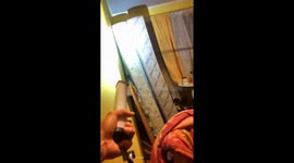 Bat Brings Chaos to Household