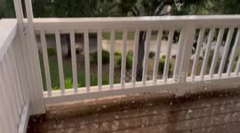 US: Thunderstorms With Gusty Winds And Hail Hit Central And Southern Oregon