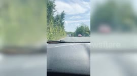 Motorists say fake speed bumps are waste of money because drivers just ignore them