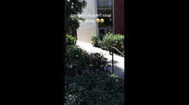 Stair Trick Cracks Skater's Back