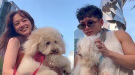 Search for the next 'PUP STAR' to be featured on a 3D LED Billboard