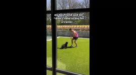 Boyfriend caught in the backyard trying to teach puppy how to do a backflip