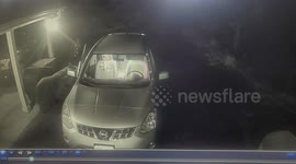 Bear Helps Himself to Car's Cup Holders