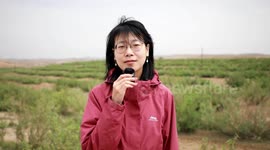 China's Gansu stops Mu Us Desert from expanding with effective measures