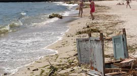 Debris from Kakhovka dam washes ashore in Odesa