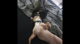 When Frenchy Play top hard, you will see, what's happening in the End 