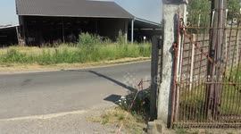 Sometimes you are very lucky. Rally car goes out of the curve and lightly hits a wall