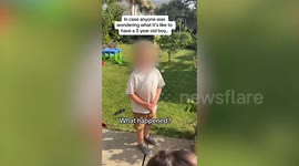 Hilarious moment a toddler told his mum he went 'for a poo' - in his grandmother's flowerbed