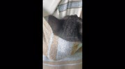 temp