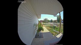 Neighbor crashes Moped into our house after wiskey throttle.