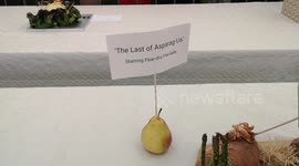 The annual Vegetable Sculpture show returns to the Lambeth Country Show one of the highlights was a recreation of Pedro Pascal who was renamed Pear dro Pas Kale