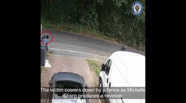 Police bodycam video43