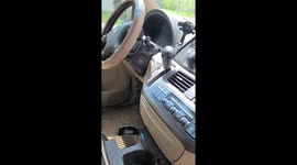 Window Button Starts Car