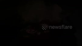 car collides with a camel on the road