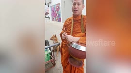 Friendly pet dog asks monk for meat skewers