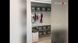 'Look at ALL THIS Storage!' - The $100 Closet Makeover is a home hack you can't miss out on!