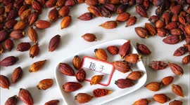 Chinese Medicinal Materials in Yichang, Hubei, China