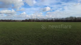 Time-lapse footage of Parkland seagulls and dog walkers go passed as the camera pans left to right