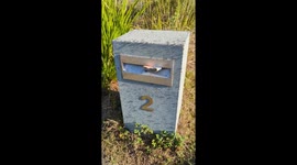 Ants Swarm Letterbox After Rain