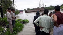 Cow rescue from heavy flood in indian village by the villagers