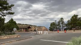 Canadian Dad Taking Selfie at Grand Canyon as Massive Elk Interrupts
